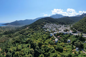 Hotel Thassos Inn