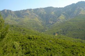 The mountains of Thassos